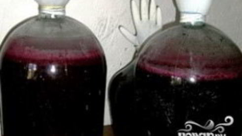 вино из черной смородины