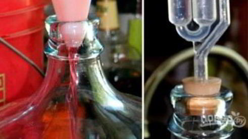 вино из вишни