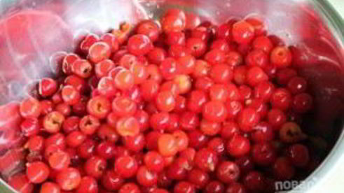 вино из вишни