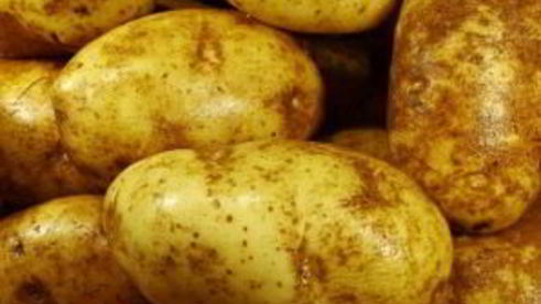 картофельный салат с беконом