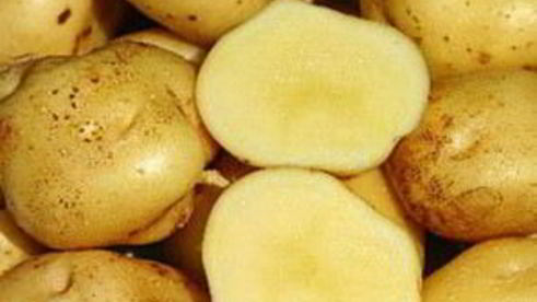 салат оливье с языком