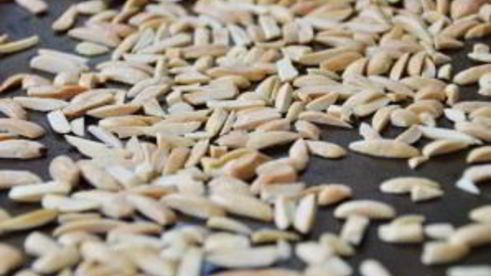 простой салат из пекинской капусты