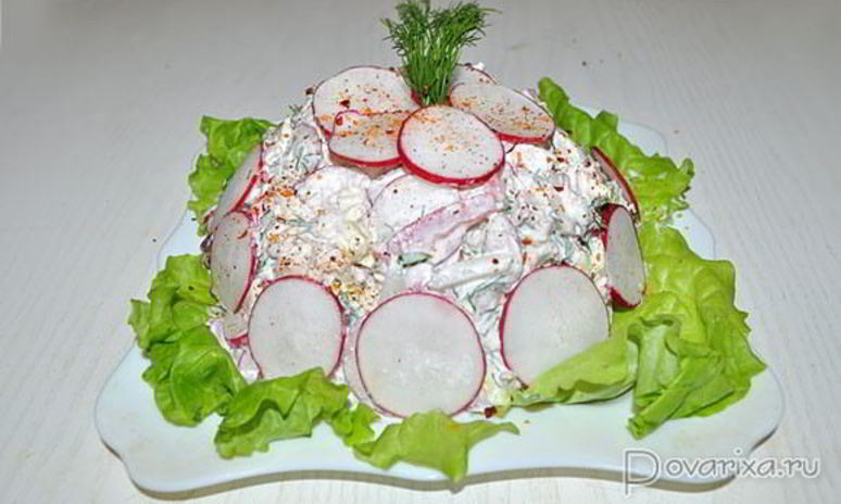 Рецепт салата с курицей и редисом