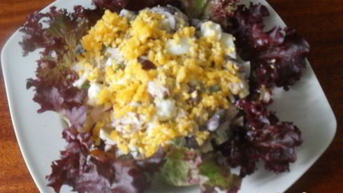 салат цветущий кактус