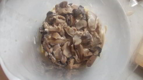 слоеный салат с курицей и чипсами в пикантной заправке