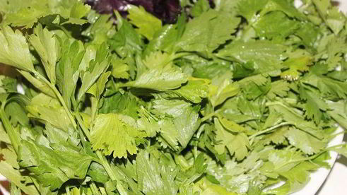 томатно-сливовый соус