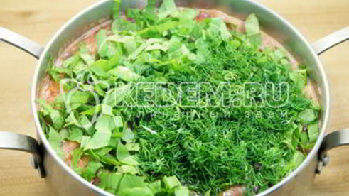 борщ со щавелем