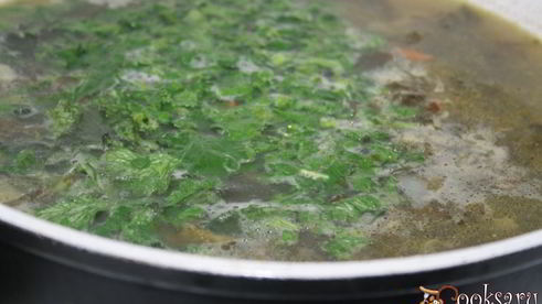 зеленый борщ со щавелем на куриных сердечках