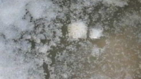 мясной бульон