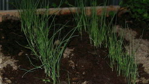 окрошка с мясом