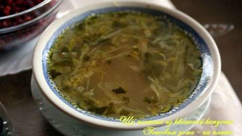 постные щи из квашеной капусты