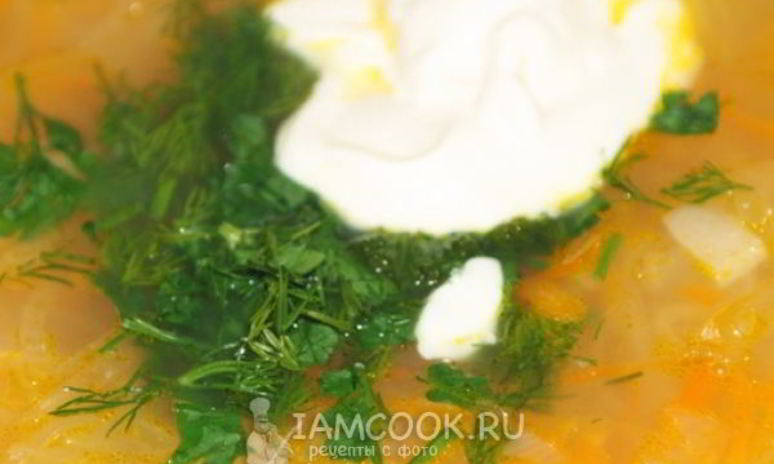 Рецепт щей из квашеной капусты с индейкой