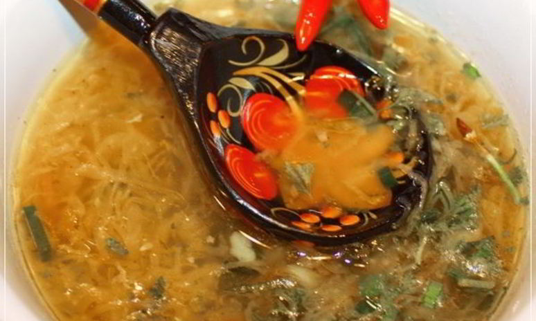 Рецепт щей из квашеной капусты с уткой