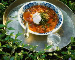 Щи из молодой капусты с побегами чеснока