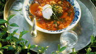 Щи из молодой капусты с побегами чеснока