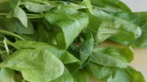 щи с бараниной