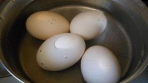 щи со щавелем