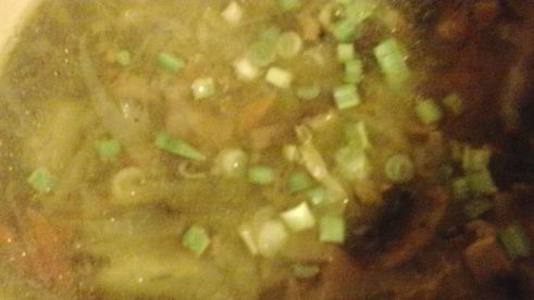 щи со свежей капустой и грибами