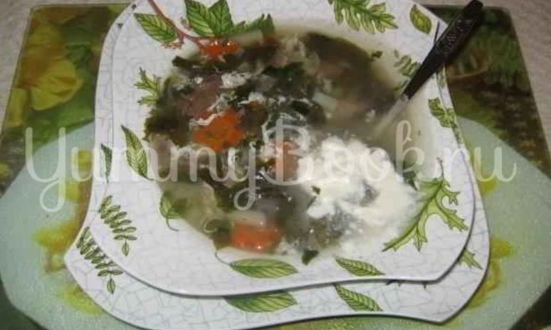 Рецепт щей зеленых