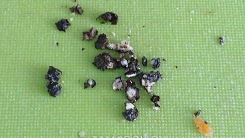 зеленые щи из кисленицы