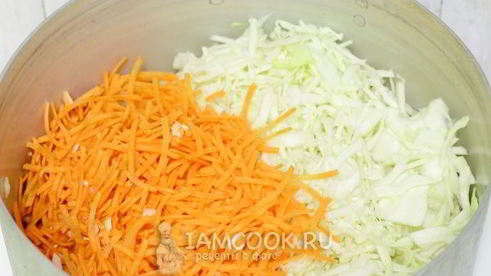 грибная солянка с капустой на зиму