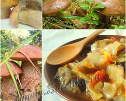 Грибная солянка