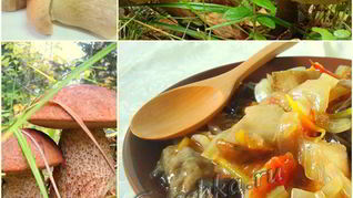 Грибная солянка