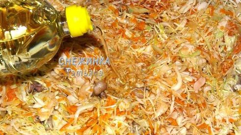 солянка овощная с грибами