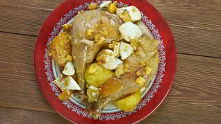 Солянка семейная яркая