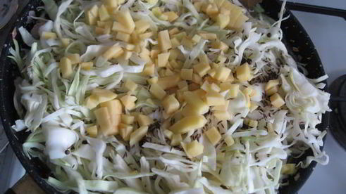 солянка тушеная свиная с вешенками