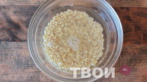 суп из консервированной горбуши