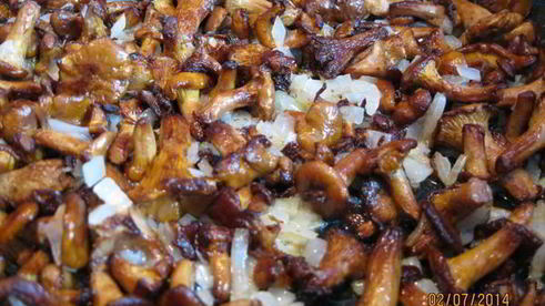 суп-пюре из лисичек