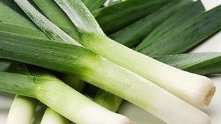 Суп-пюре из лука-порея