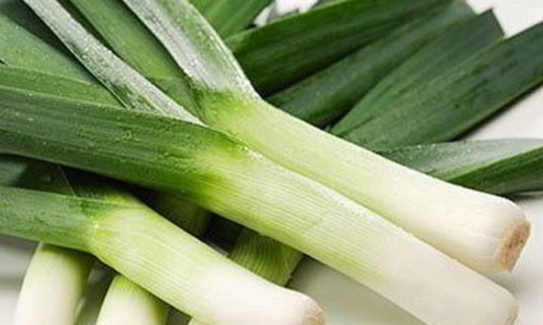 Рецепт супа-пюре из лука-порея