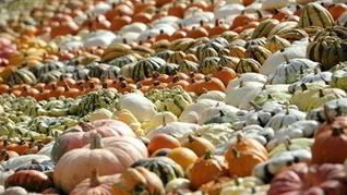 Тыквенный суп-пюре на овощном бульоне с карри