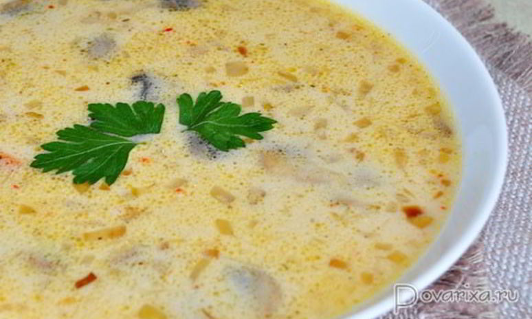 Рецепт сырного супа с грибами