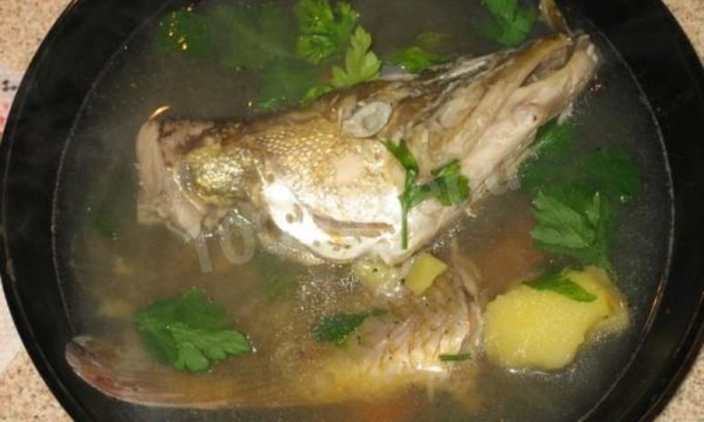 Рецепт щучьей ухи