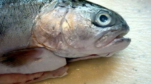 средиземноморская уха с гриссини жил отважный капитан