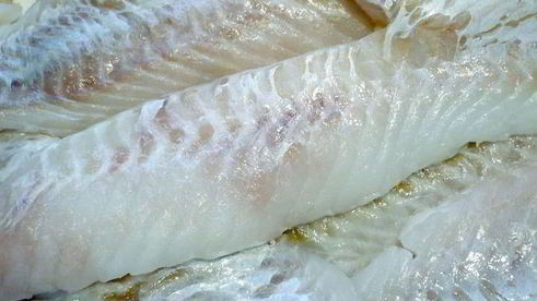 средиземноморская уха с гриссини жил отважный капитан