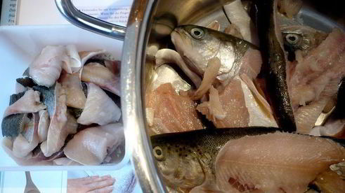 средиземноморская уха с гриссини жил отважный капитан