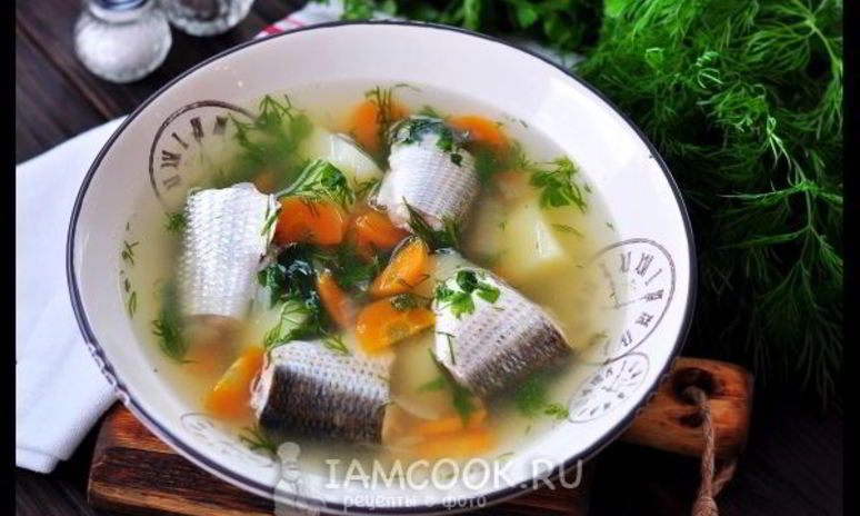 Рецепт ухи из кефали