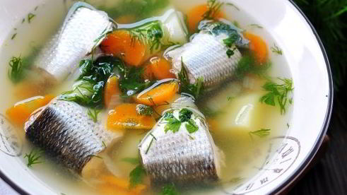 уха из кефали