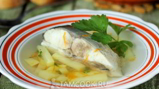 Уха из толстолобика