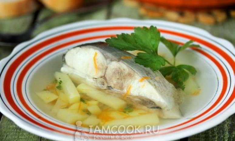 Рецепт ухи из толстолобика