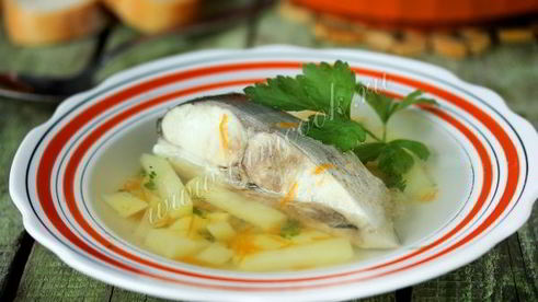 уха из толстолобика