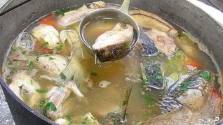 Уха на костре