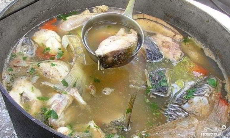 Рецепт ухи на костре