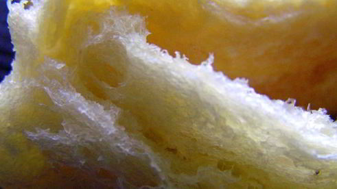 булочки parker house