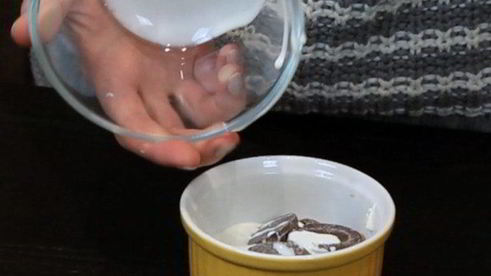 арахисовый чизкейк без выпечки