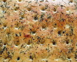 Фокачча с зеленью